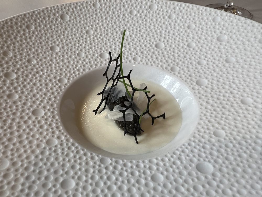 Royal Belgian Caviar, Cauliflower Panna Cotta